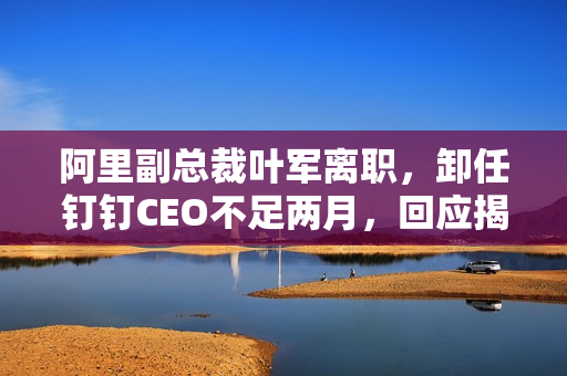 阿里副总裁叶军离职,卸任钉钉CEO不足两月,回应揭秘 阿里副总裁叶军离职,卸任钉钉CEO不足两月,回应揭秘