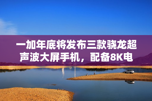 一加年底将发布三款骁龙超声波大屏手机，配备8K电池的新品即将亮相