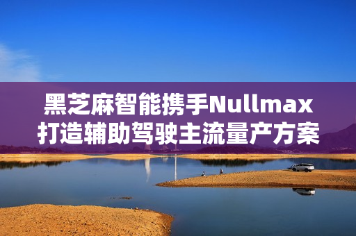 黑芝麻智能携手Nullmax打造辅助驾驶主流量产方案，从高配走向普惠时代