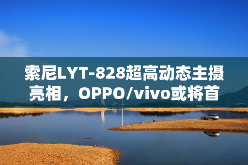 索尼LYT-828超高动态主摄亮相，OPPO/vivo或将首发搭载