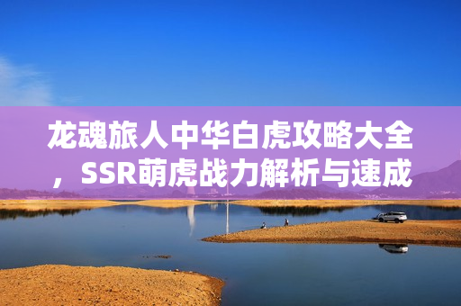 龙魂旅人中华白虎攻略大全，SSR萌虎战力解析与速成手册