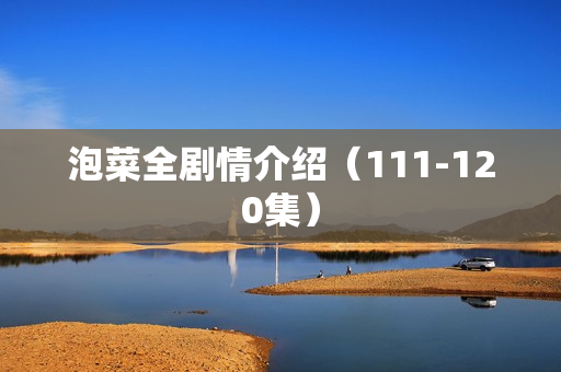 泡菜全剧情介绍（111-120集）