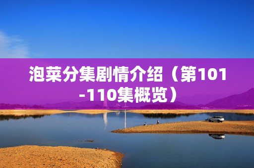 泡菜分集剧情介绍（第101-110集概览）