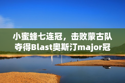 小蜜蜂七连冠，击败蒙古队夺得Blast奥斯汀major冠军