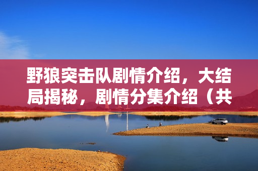 野狼突击队剧情介绍，大结局揭秘，剧情分集介绍（共28集）