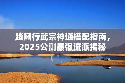 踏风行武宗神通搭配指南，2025公测最强流派揭秘