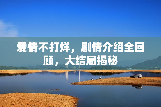 爱情不打烊,剧情介绍全回顾,大结局揭秘 爱情不打烊,剧情介绍全回顾,大结局揭秘