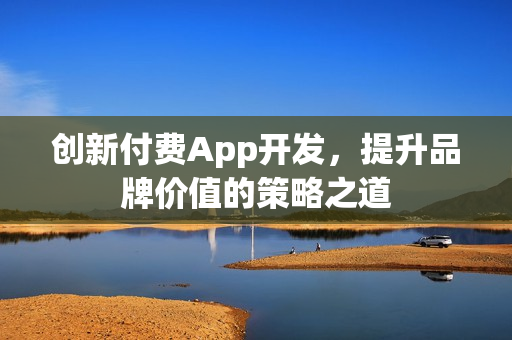 创新付费App开发，提升品牌价值的策略之道