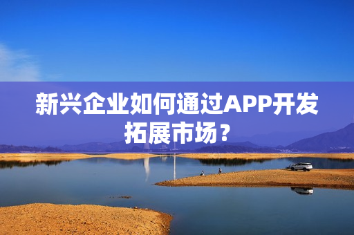 新兴企业如何通过APP开发拓展市场? 新兴企业如何通过APP开发拓展市场?
