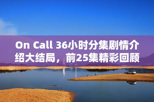 On Call 36小时分集剧情介绍大结局，前25集精彩回顾