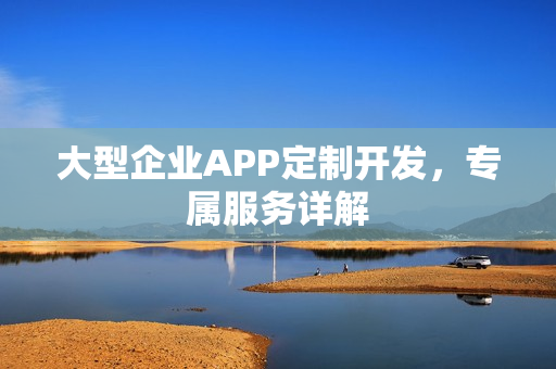 大型企业APP定制开发,专属服务详解 大型企业APP定制开发,专属服务详解