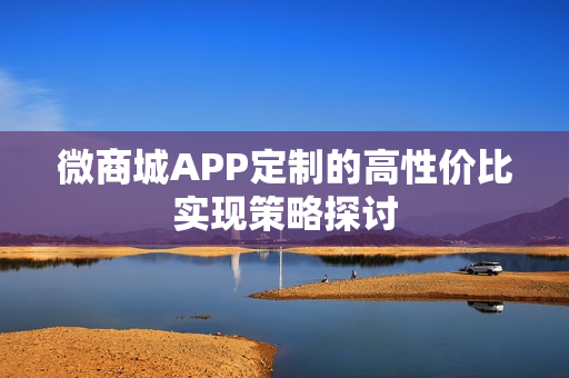 微商城APP定制的高性价比实现策略探讨