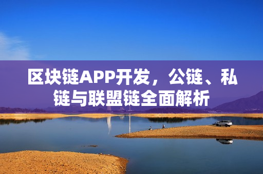 区块链APP开发，公链、私链与联盟链全面解析