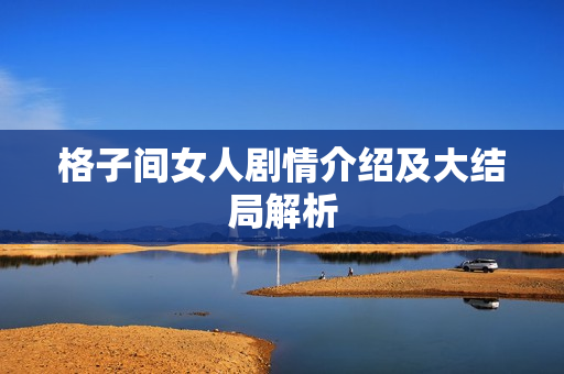 格子间女人剧情介绍及大结局解析