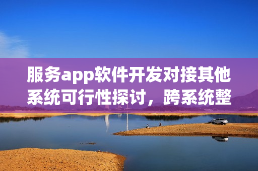 服务app软件开发对接其他系统可行性探讨，跨系统整合的能力与挑战