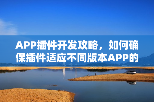 APP插件开发攻略，如何确保插件适应不同版本APP的兼容性策略