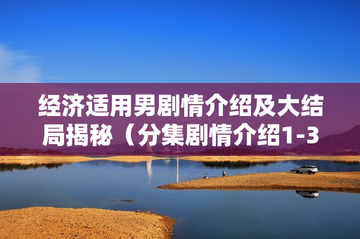 经济适用男剧情介绍及大结局揭秘（分集剧情介绍1-33集）