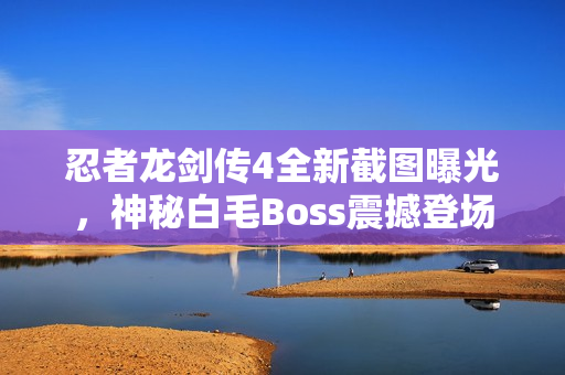忍者龙剑传4全新截图曝光，神秘白毛Boss震撼登场