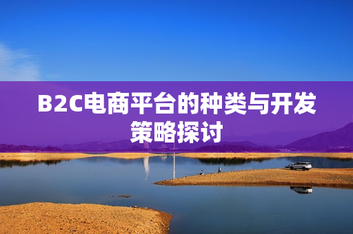 B2C电商平台的种类与开发策略探讨