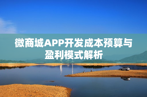微商城APP开发成本预算与盈利模式解析