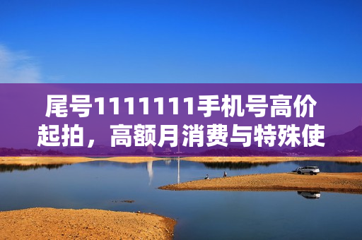 尾号1111111手机号高价起拍,高额月消费与特殊使用权规定 尾号1111111手机号高价起拍,高额月消费与特殊使用权规定