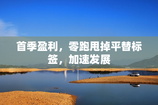 首季盈利，零跑甩掉平替标签，加速发展