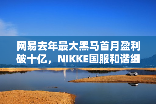 网易去年最大黑马首月盈利破十亿，NIKKE国服和谐细节曝光