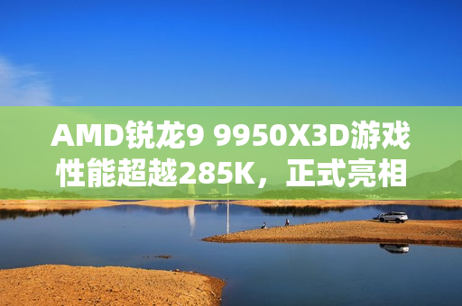 AMD锐龙9 9950X3D游戏性能超越285K，正式亮相！