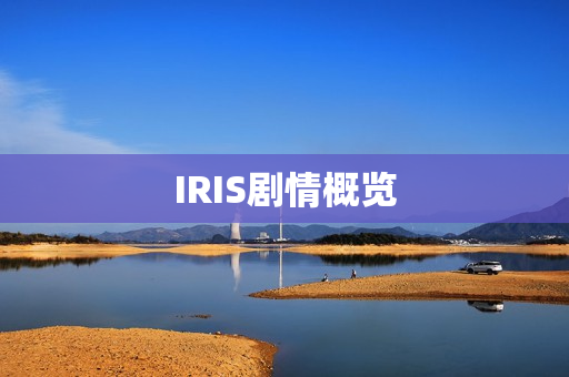 IRIS剧情概览