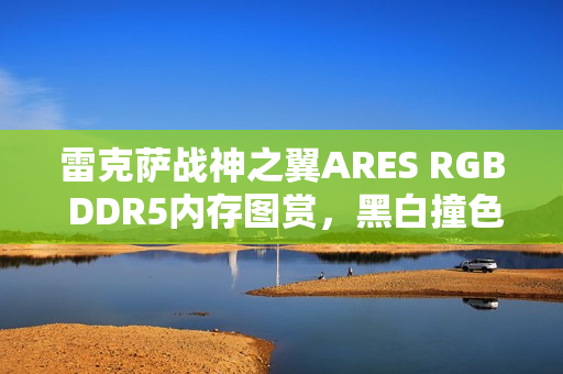 雷克萨战神之翼ARES RGB DDR5内存图赏，黑白撞色设计，AMD平台性能巅峰之选
