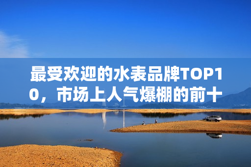 最受欢迎的水表品牌TOP10，市场上人气爆棚的前十名水表榜单