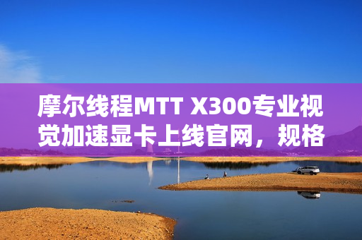 摩尔线程MTT X300专业视觉加速显卡上线官网，规格与S80一致，视觉体验再升级