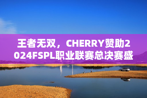 王者无双，CHERRY赞助2024FSPL职业联赛总决赛盛况
