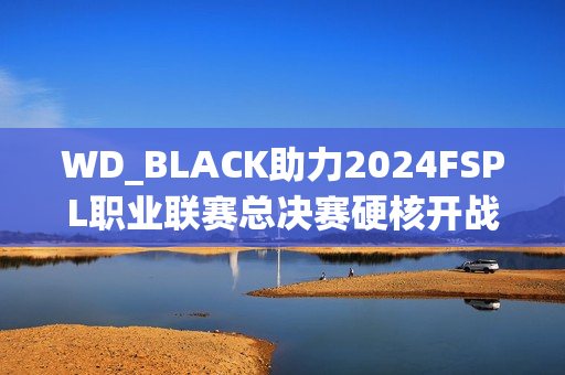 WD_BLACK助力2024FSPL职业联赛总决赛硬核开战