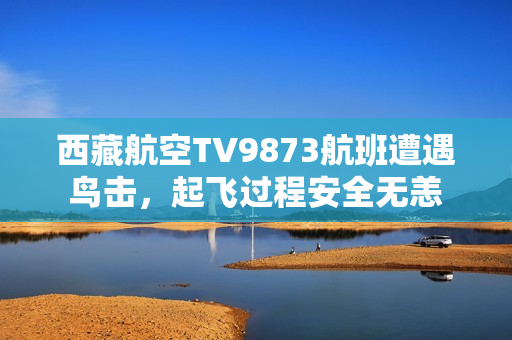 西藏航空TV9873航班遭遇鸟击,起飞过程安全无恙 西藏航空TV9873航班遭遇鸟击,起飞过程安全无恙