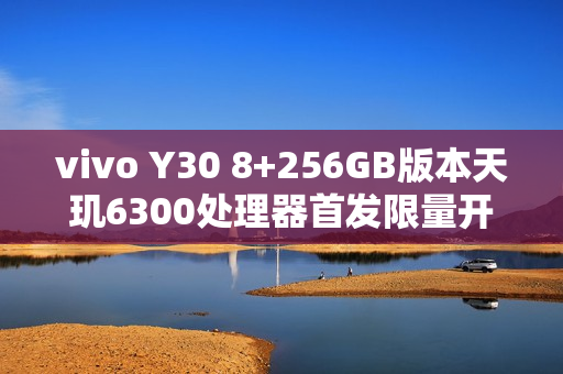 vivo Y30 8+256GB版本天玑6300处理器首发限量开售，后置扬声器设计，仅售1499元起