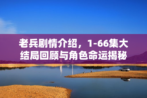 老兵剧情介绍，1-66集大结局回顾与角色命运揭秘