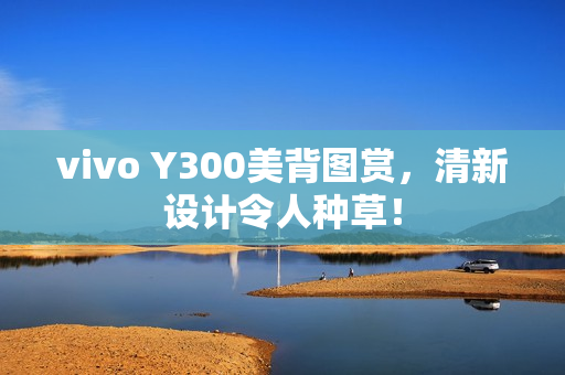vivo Y300美背图赏，清新设计令人种草！