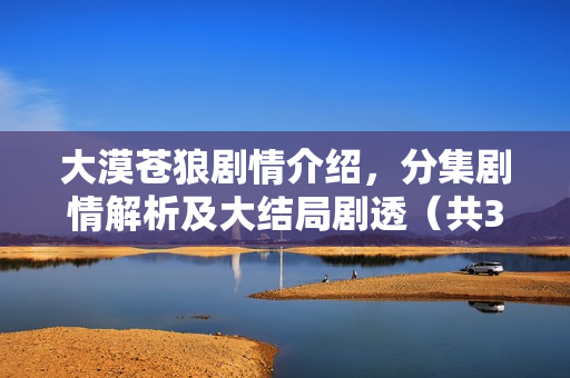 大漠苍狼剧情介绍,分集剧情解析及大结局剧透(共34集) 大漠苍狼剧情介绍,分集剧情解析及大结局剧透(共34集)