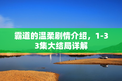 霸道的温柔剧情介绍,1-33集大结局详解 霸道的温柔剧情介绍,1-33集大结局详解