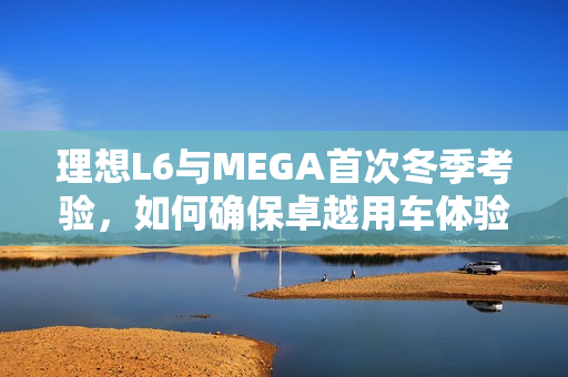理想L6与MEGA首次冬季考验，如何确保卓越用车体验？