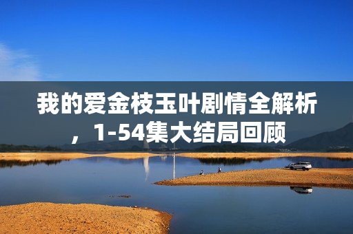 我的爱金枝玉叶剧情全解析,1-54集大结局回顾 我的爱金枝玉叶剧情全解析,1-54集大结局回顾