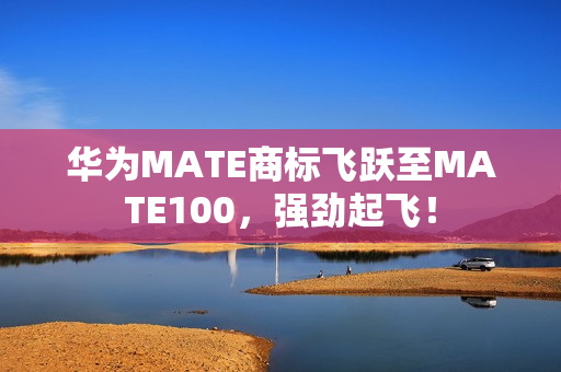 华为MATE商标飞跃至MATE100，强劲起飞！