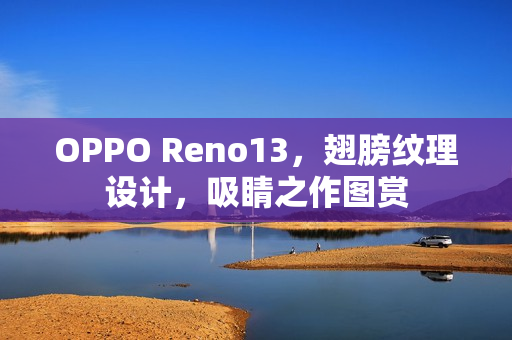 OPPO Reno13，翅膀纹理设计，吸睛之作图赏
