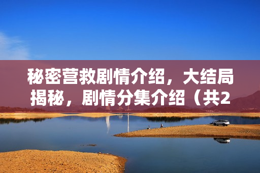 秘密营救剧情介绍，大结局揭秘，剧情分集介绍（共21集）