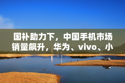 国补助力下，中国手机市场销量飙升，华为、vivo、小米领跑，一月销量近2900万部