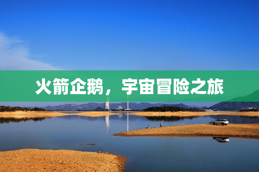 火箭企鹅，宇宙冒险之旅