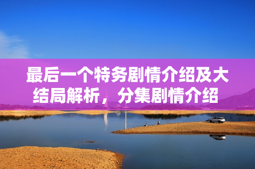 最后一个特务剧情介绍及大结局解析，分集剧情介绍 1-25集精彩回顾