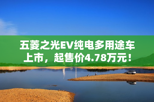 五菱之光EV纯电多用途车上市，起售价4.78万元！