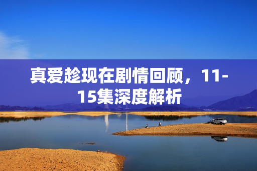 真爱趁现在剧情回顾，11-15集深度解析